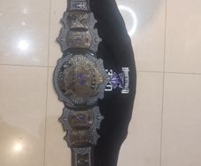 The Undertaker 30 Years Signature Series Championship Title.