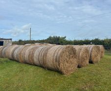 Hay/bedding