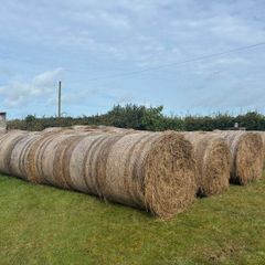 Hay/bedding
