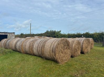 Hay/bedding