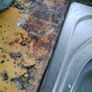 Kitchen Image 9