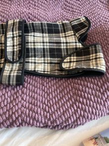 Dogs Coat