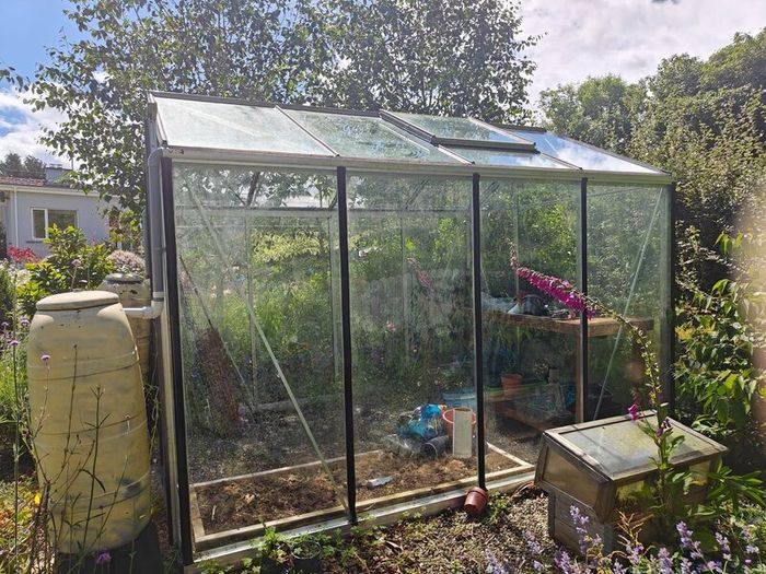 Green house  domestic garden