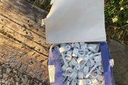 electrical clips