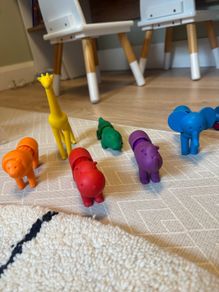 Smartmax magnet animals