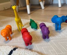 Smartmax magnet animals