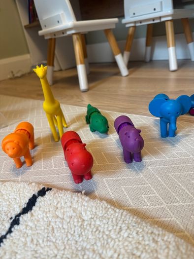 Smartmax magnet animals