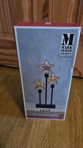 Christmas star lights
