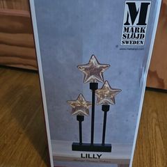 Christmas star lights
