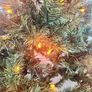 Christmas tree Image 4