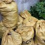 Free Fill dirt/ top soil from old lawn Image 2