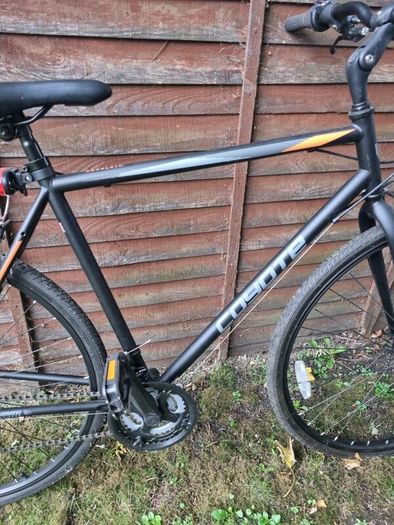 Adult Bike