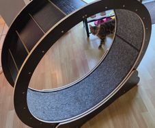 Cat exercise wheel