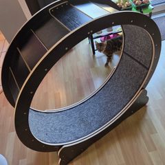Cat exercise wheel