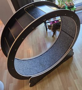 Cat exercise wheel