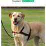 dog Harness Lead 'N' Walk Soft trixie size M-L BNIB Image 2