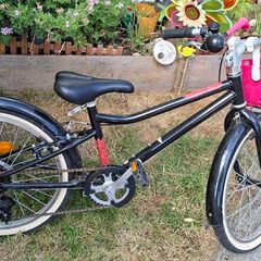 girls bike 19"