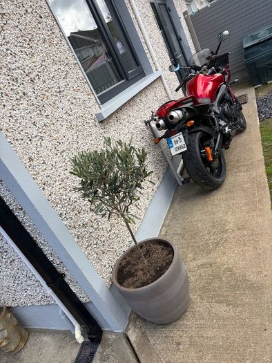 2008 Yamaha Fazer fz6 s2