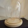 Glass display dome with wooden base. Image 5