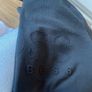 Hugo Boss Sweatshirt Image 5