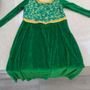 Princess Fiona dress