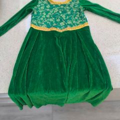 Princess Fiona dress