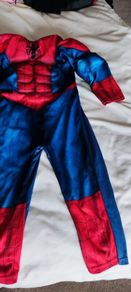 Spiderman Costume