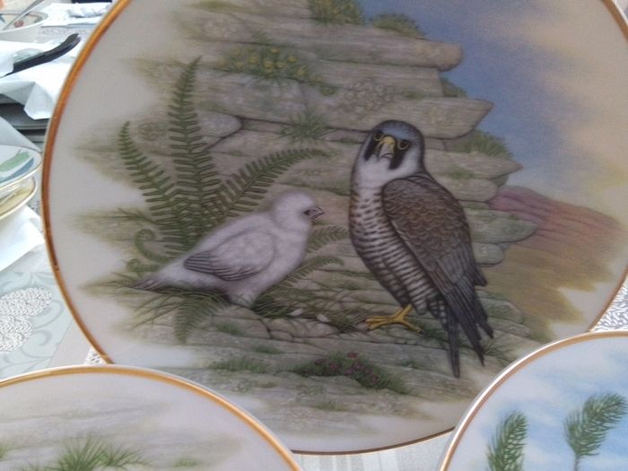 Agl Giftware Collectors Plates