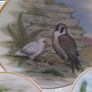 Agl Giftware Collectors Plates Image 3