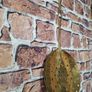 Vintage Brass Skimmer Strainer Image 4