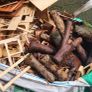 firewood Image 4