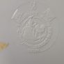 Disneyland  Paris Trays x 5 Image 6