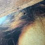 Madonna - Ray Of Light - Very Large Thick Card Store Promo Display Image 5