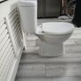 toilet Image 4