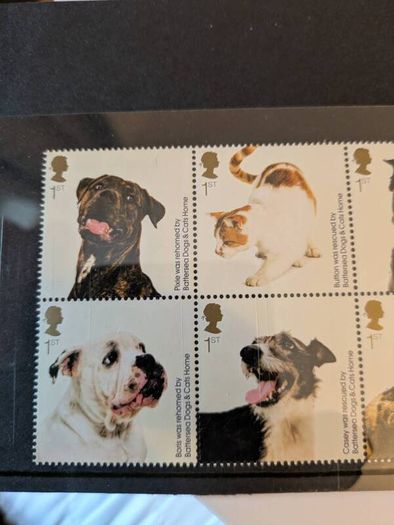 cats & dogs commemorative stamps