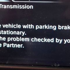 BMW and Mini fault code 420106 Repair