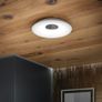 Clearance: Horizon Ceiling Light Image 2