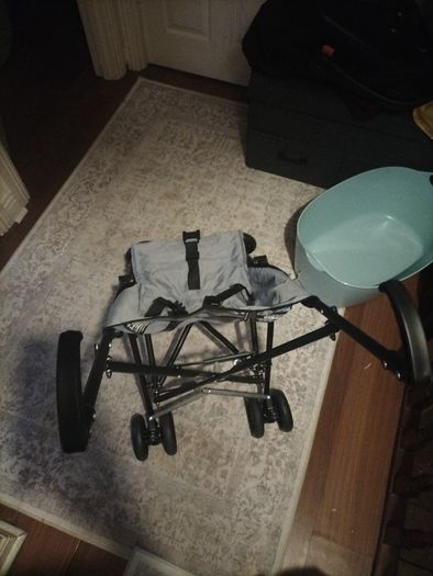 Baby Buggy