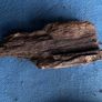 4 small pieces of bog oak Image 3