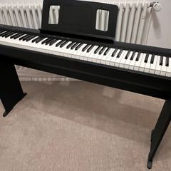 Roland FP10