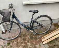 Ladies Raleigh pioneer metro bike