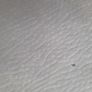 Sofa Image 3