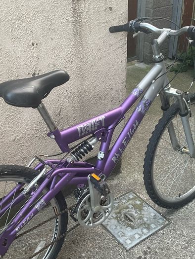 Raleigh drift bike
