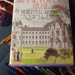 Irish interest