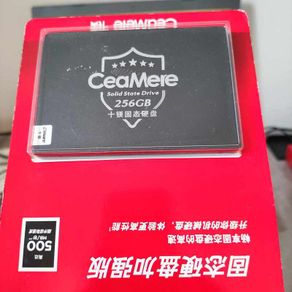256 gb ssd