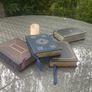 A Lifetime Library - 33 Books - Brenner, Heptinstall & 14 Gryphon Leather Classics of Medicine - One Collection Image 3