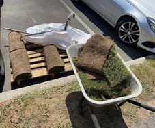 Free to take away lawn turf