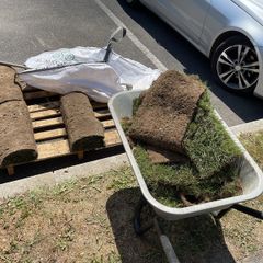 Free to take away lawn turf
