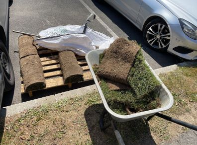 Free to take away lawn turf