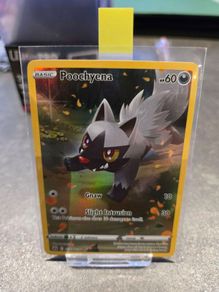 Crown Zenith Poochyena GG33